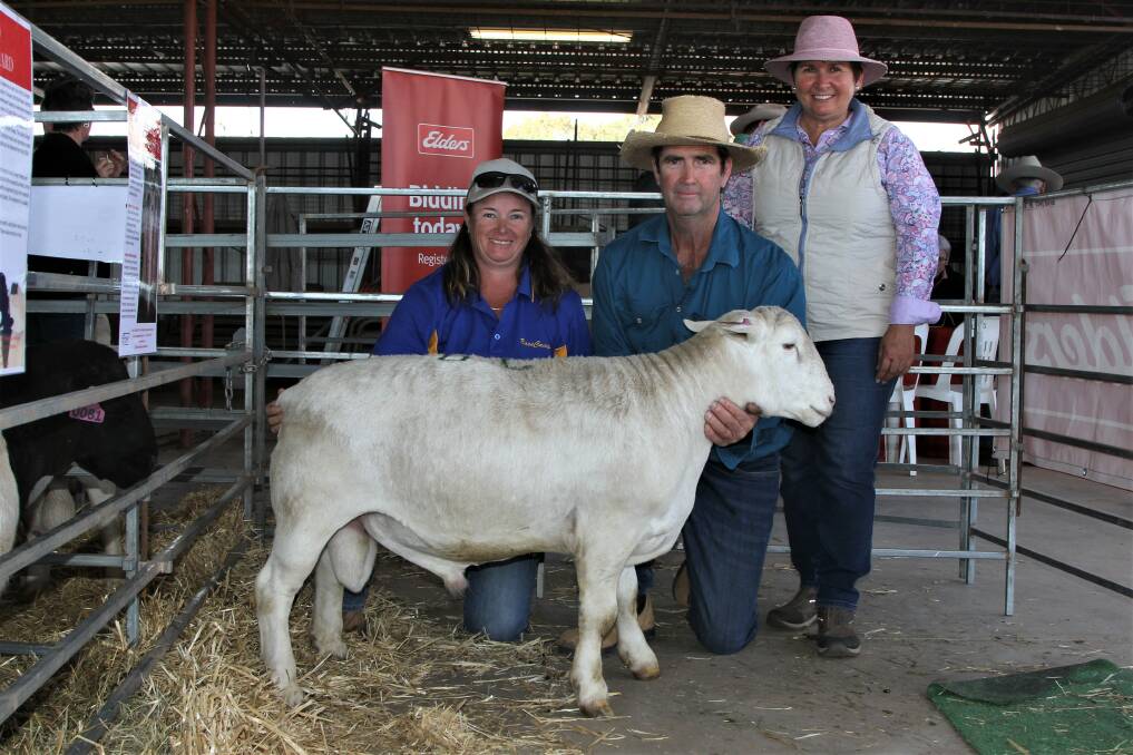 Andrea Weiss, Basecamp White Dorpers, Jandowae holds her top price White Dorper, with purchasers Brent and Teresa Gadsby, Moorooka, Morven.
