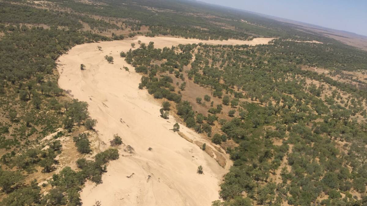 Flourishing prickly acacia bushes spreading out from the Flinders River are one of a number of biosecurity risks groups want to see funded under the state government's new pest and weed strategy.