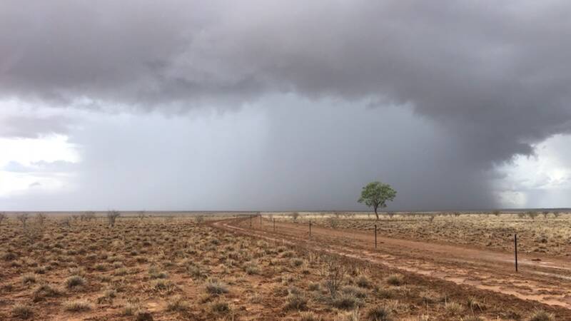 Storms in the Hughenden region prior to February's monsoon event. Weeds are mostly what has grown in many places since the rain, according to the Flinders shire mayor.