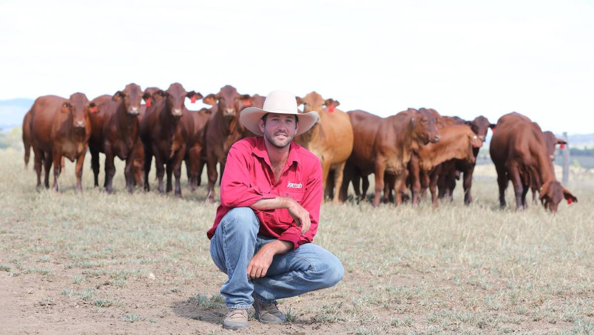 Sam Becker, central Queensland cattle producer.