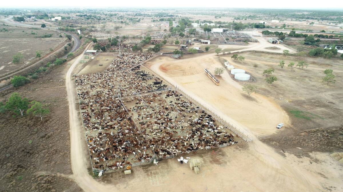 An aerial view of the Dalrymple Saleyards at Charters Towers. Picture supplied.
