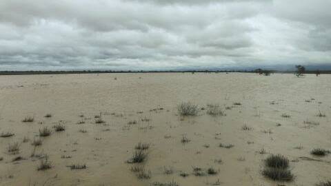 The Diamantina River spreading across the landscape west of Winton.