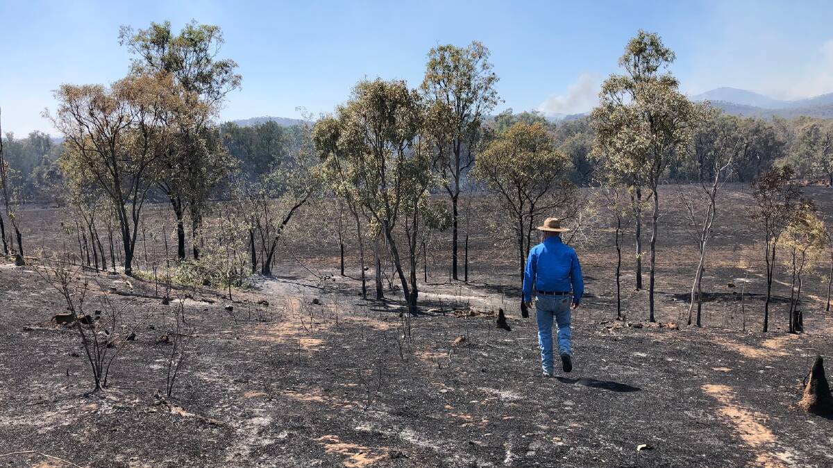 Simon Jackson surveys his bottom paddock west of Dimbulah, which neighbours and fire fighters tried hard to save.