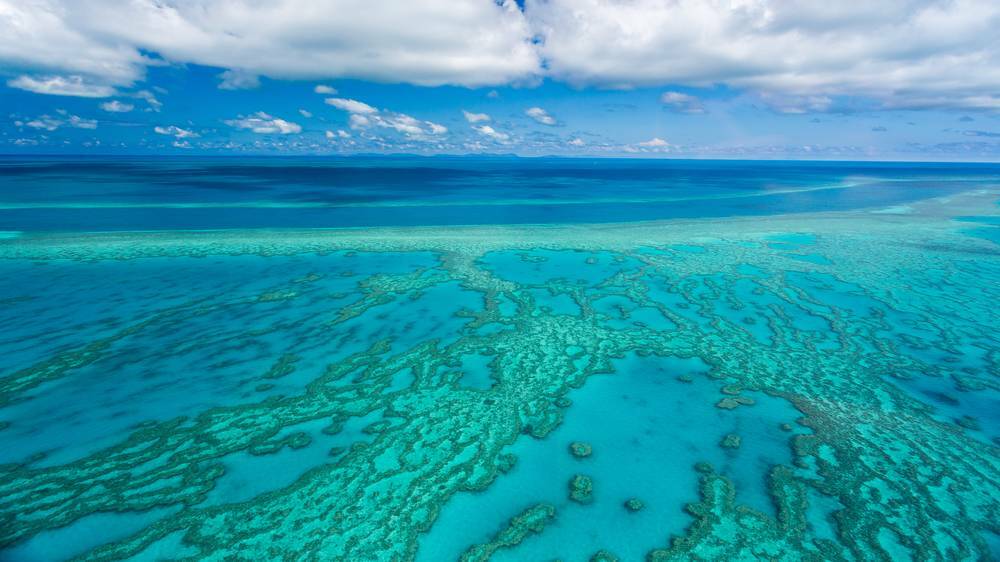 The Great Barrier Reef is benefiting from funding promises from both major political parties. Image: Shutterstock
