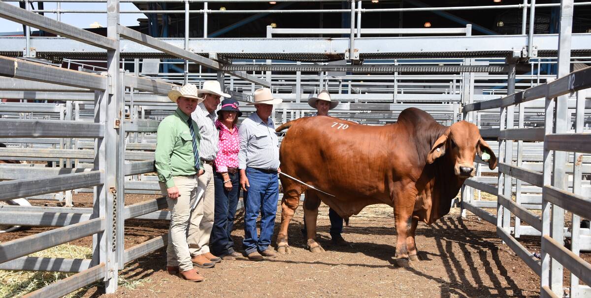 Landmark agent Colby Ede, with buyer Brian Kirkwood, Somerview, Charters Towers, and vendors Manny, Noel and Scott Sorley, Mt Callan, Dalby, with the $105,000 bull Mt Callan Scully 19/18 (AI) (P). Picture: Jessica Johnston
