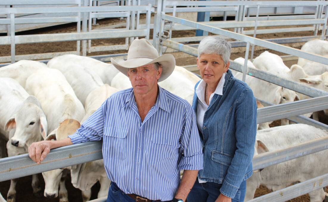 Brett and Wendy Kerr, Clay Creek, Calliope, sold 13 quality Brahman weaner steers on May 31.