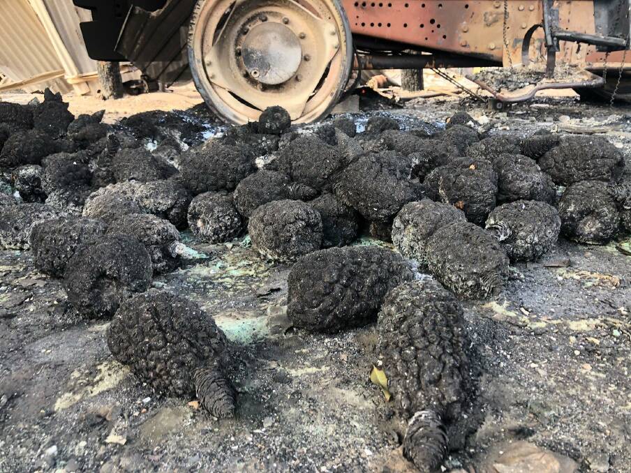 Fire has destroyed more than 100,000 pineapples at the Brooks and Sons farm at Bungundarra, near Yeppoon.