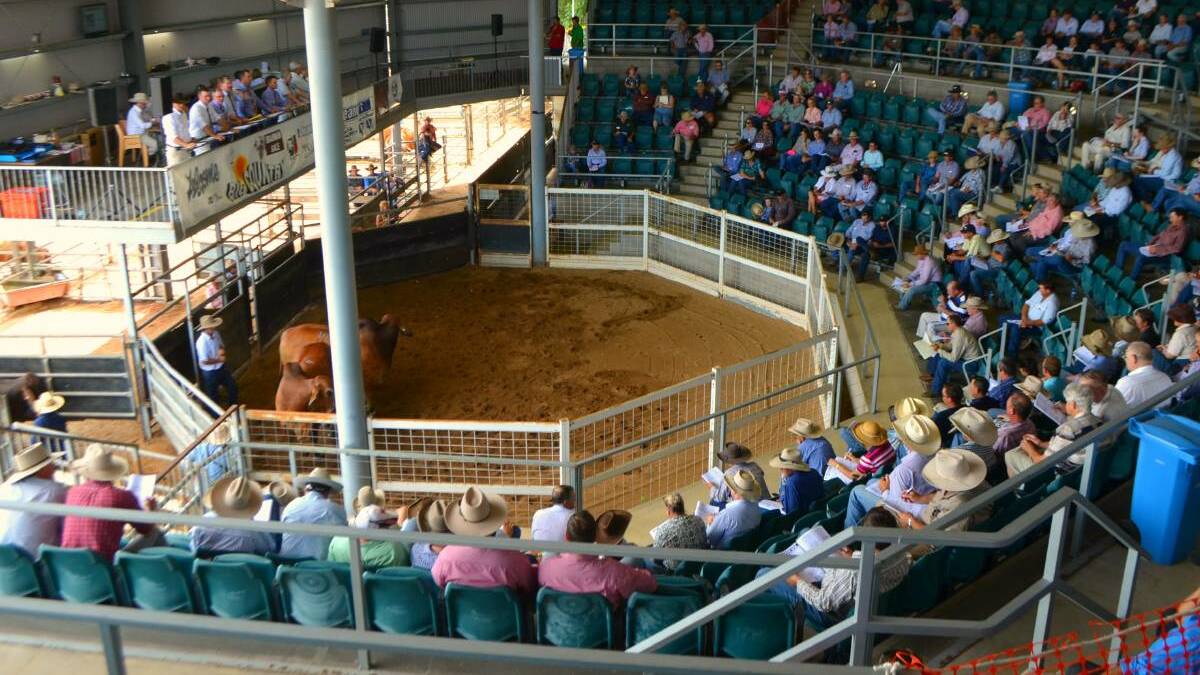 ALWAYS POPULAR: The Big Country sale in Charters Towers is one of the biggest and best of its type in Queensland.