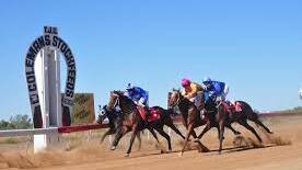 OFF AND RACING: The meeting to be staged in Charters Towers on March 7 is loaded with interesting runners.