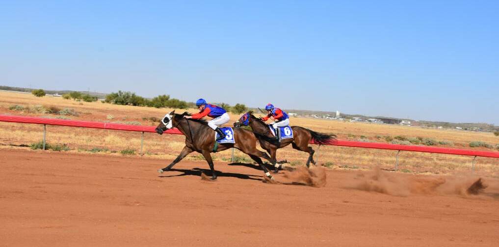 The racing action at Cloncurry on November 2 will be dominated by runners from the Julia Creek stable of Tanya Parry.