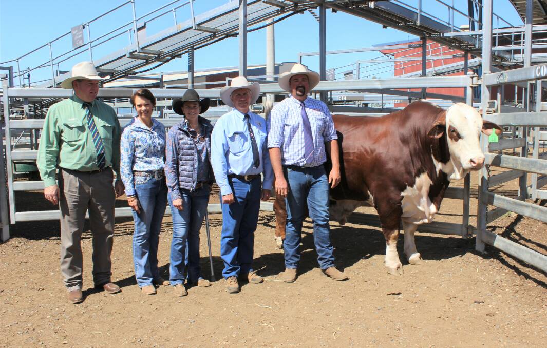 Mark Scholes, Landmark. Donna, Bec and Russell Kenny, Harriett Valley Gayndah, and Cameron Bennett, Little Valley Grazing Company, Stratheden, NSW with the top priced bull.