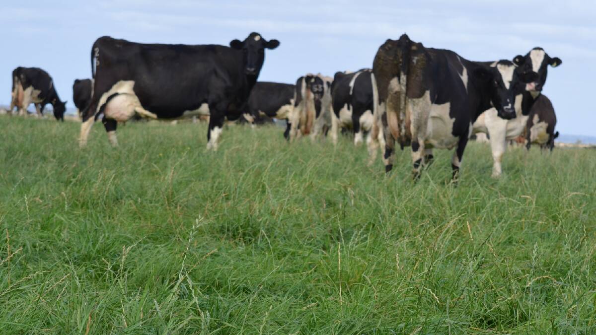 MILK PRODUCTION: Milk production is expected to recover in Australia on the back of better seasonal conditions but not for at least two years, according to ABARES.