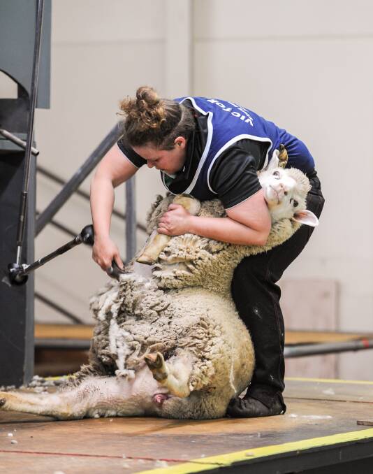 Market clip: Leearna Cook, Baddaginnie, competes in the state final intermediate shearing at Australian Sheep and Wool Show, Bendigo. 