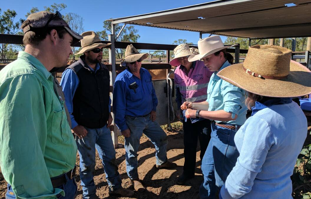 Rural Training Queensland trainer Jean Robins, second from right, talks about animal welfare requirements.