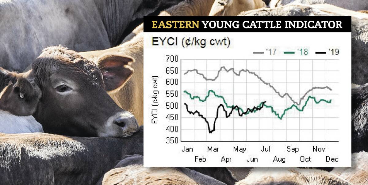 The Eastern Young Cattle Indicator has been rebounding in recent weeks. The graph shows the 2019 EYCI trend compared to 2018 and the highs of 2017. Source: MLA 