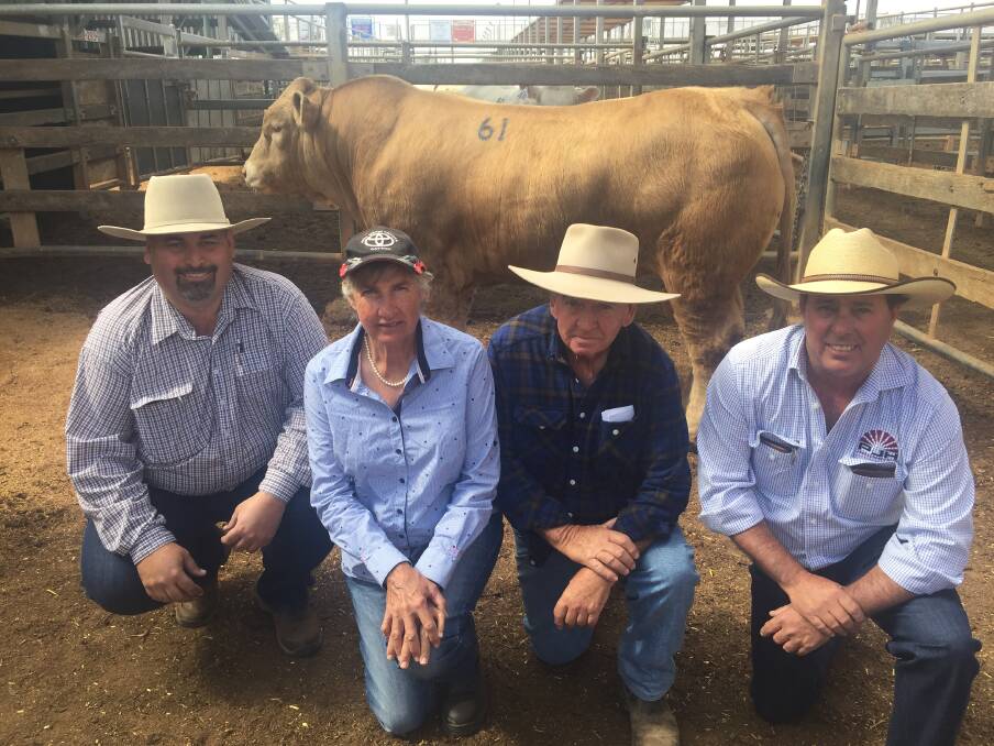 Vendor Brendan Scheiwe, Brendale Charolais, Tallegalla, with the top price buyers, Nardine and Geoff Lucas, Gungary, Roma and their agent, Steve Goodhew, PJH Livestock, Roma. 