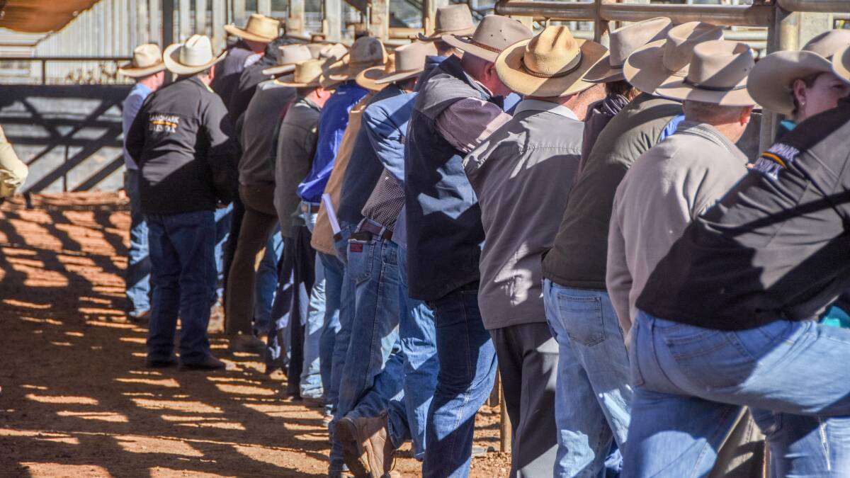 ACCC: beef sector still not doing enough