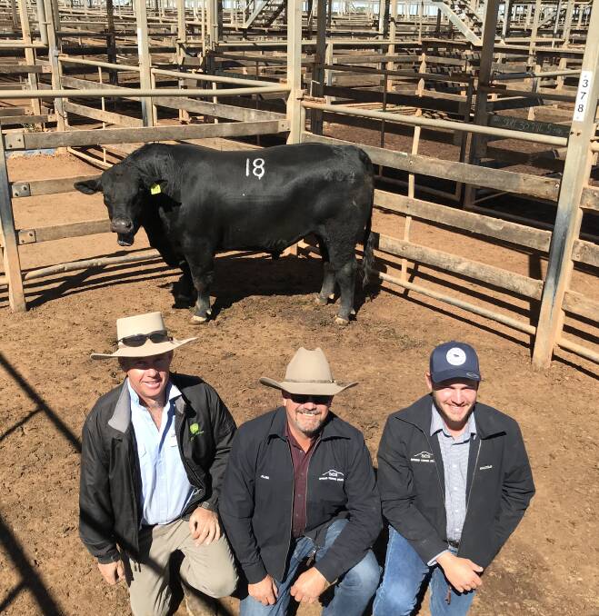 Burenda Stud manager Jonathan Schmidt, Dalby Downs, Dalby with today's top price buyers Alan and Malcolm Stevenson, Spring Creek, Springsure. 