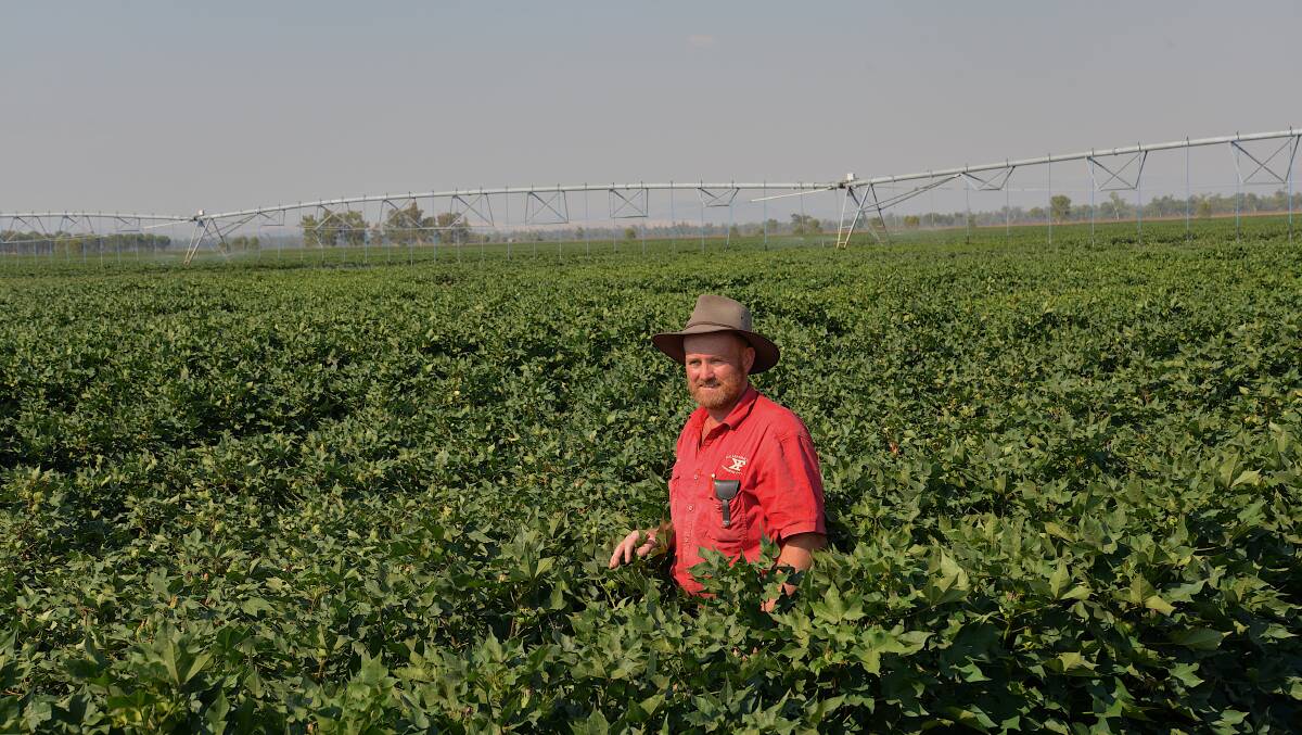 Andrew Watson in last season's cotton crop on his property near Boggabri, NSW.