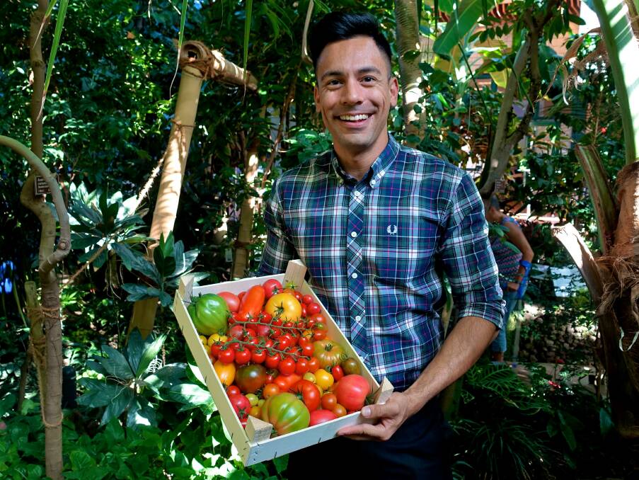 Influencer: Reuban Mourad told his Instagram followers these genetically modified tomatoes were both nutritious and delicious. 