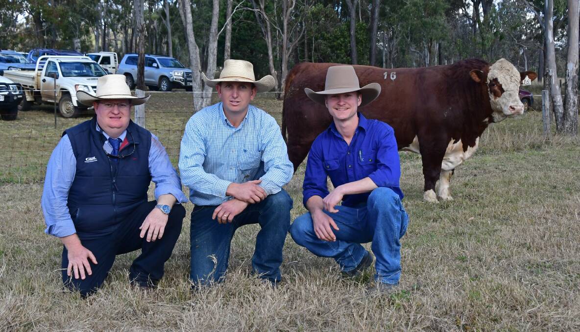Auctioneer Mark Duthie, GDL Dalby, vendor Pat O'Leary, Remolea Poll Hereford stud, Clifton and buyer Joe Anderson, Alice River, near Jericho, with the top-selling bull. Picture: Billy Jupp 