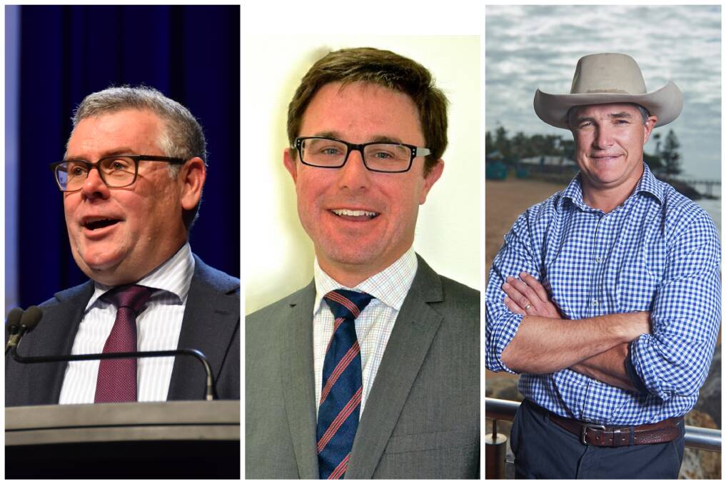 Federal Agriculture Minister Murray Watt, Nationals leader David Littleproud and Katter's Australian Party leader Rob Katter have weighed in on the threat of FMD. 