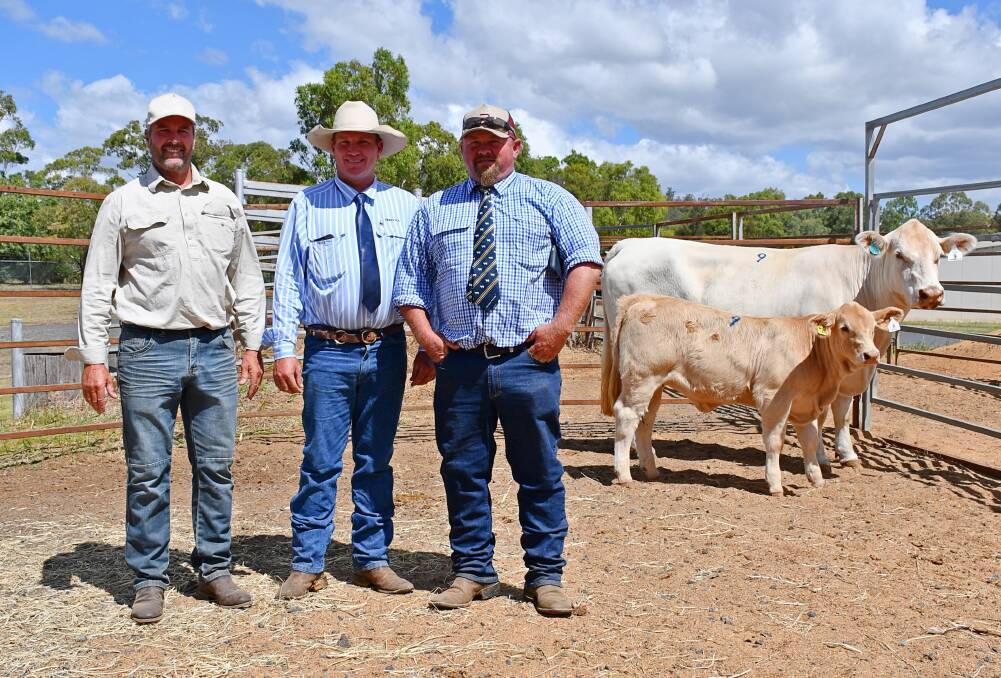 Vendor Grant Taylor, Taylor Charolais and Livestock, Coolangatta, NSW, James Dockrill, Pinedock Fitting, Casino, NSW, and Vaughan Campagnolo, Savannah Simmentals, Myponga, SA, who purchased the top-selling cow with calf unit for $14,000 on behalf of Daniel and Nicky Ferme, Wandeera, SA. Picture: Billy Jupp