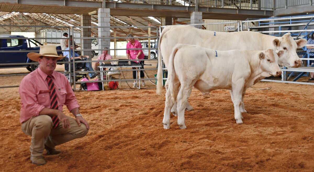 Auctioneer Michael Smith, Elders Studstock with the sale's second top seller. Picture: Billy Jupp