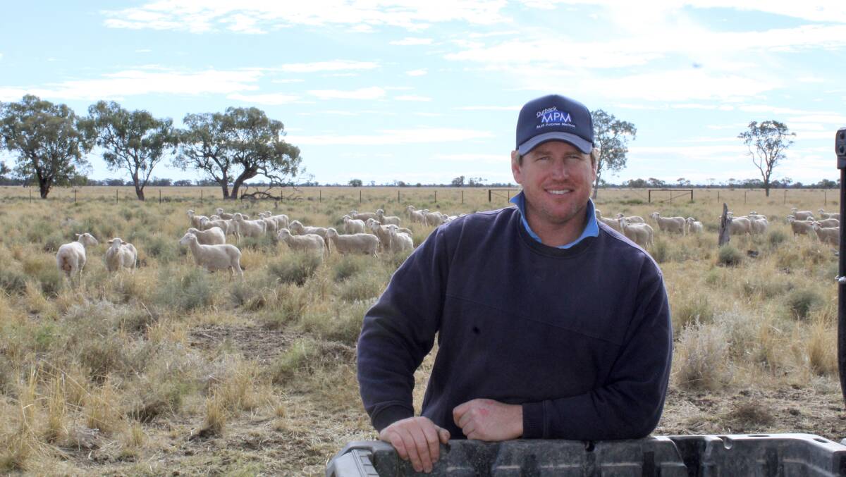 PROFIT-BOOSTING SHEEP: Outback stud principal Richie Steele with his Multi Purpose Merinos.