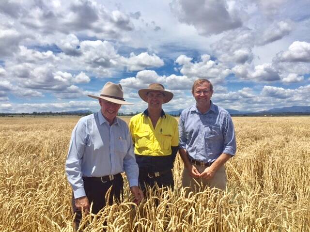 Assistant Trade Minister Mark Coulton (left) with farm manager Peter Bell and Sydney University researcher Guy Roth.