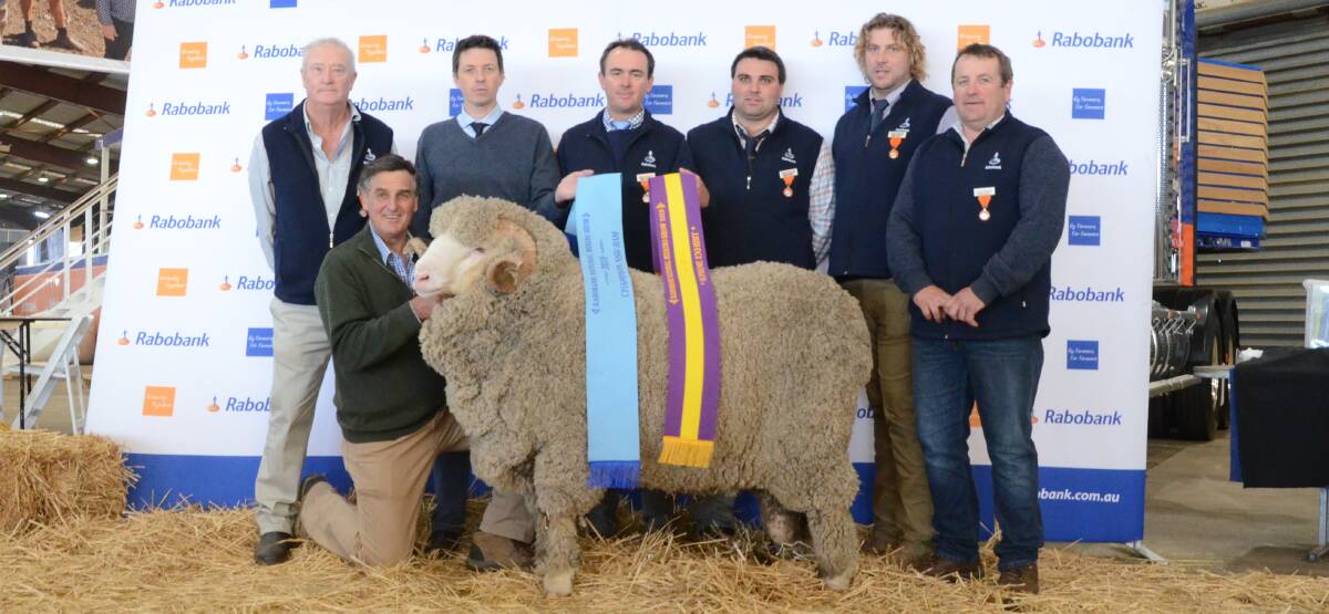 Chris Clonan holds his supreme Merino exhibit, the grand champion August shorn medium wool ram shown by Alfoxton stud, Armidale, with Rabobank regional manager, Toby Mendl (second left) and judges Colin Seis, Winona stud, Gulgong; Henry Armstrong, Pemcaw stud, Dunedoo; Greg Alcock, Greenland stud, Bungarby; Tom Small, Blairich stud, Marlborough, New Zealand, and Paul Meyer, Mulloorie stud Brentworth, SA.