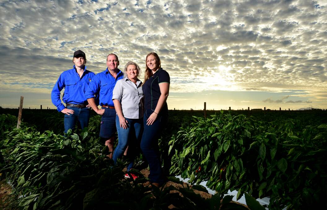 Jacob, Jamie, Melita and Jessica Jurgens, Vee Jay's Kalfresh, Bowen, continue to push into new areas of sustainable farming. Picture supplied