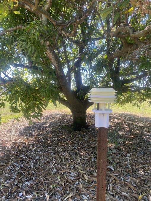 WORKING: One of the heat sensors within a mango orchard feeding data back to the grower in order to help assess when fruit will be ripe. 