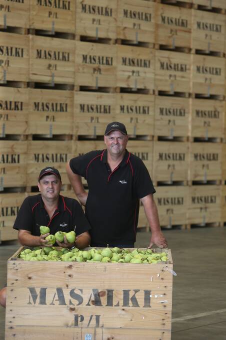 LEGACY: Philip and Con Damianopoulos, Masalki Pty Ltd, are part of a family which has grown fruit since 1948. 