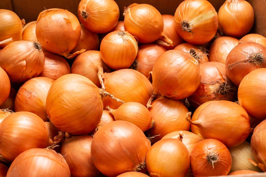 LIFTED: The onion industry received a boost during the COVID-19 lockdowns last year as people turned to onions for health reasons. Photo: Shutterstock