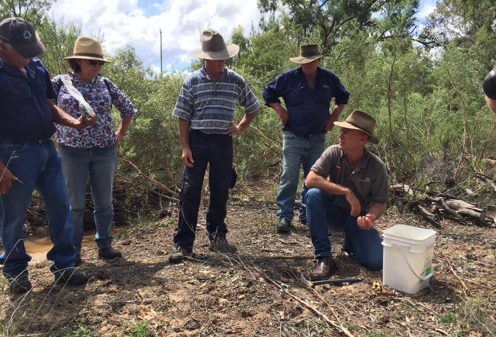 EDUCATION: Wild dog program facilitator for the NSW northern tablelands, David Worsley (kneeling) goes through the finer points of wild dog control with a group. 