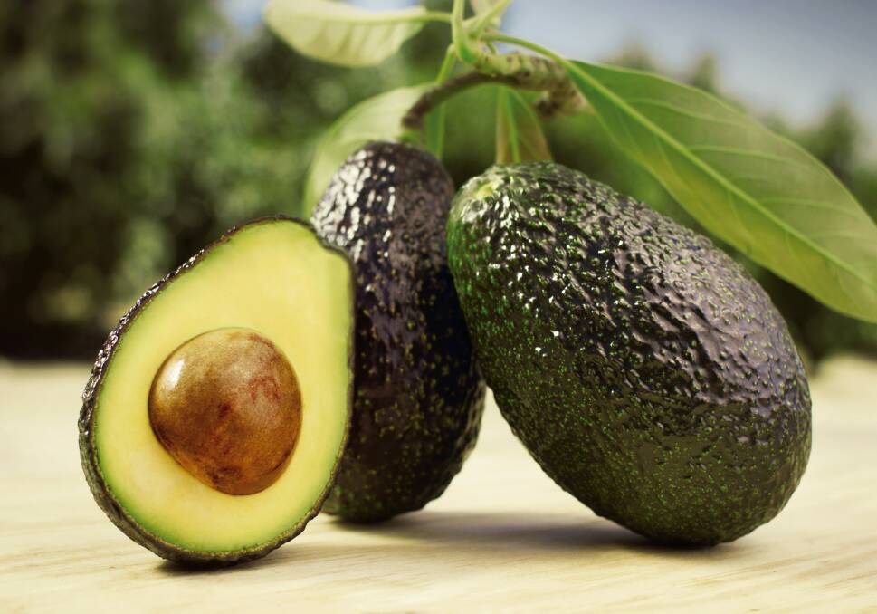 NEEDS: Avocado trees need a source of plant-available calcium during flowering and early fruit set for optimal plant health, fruit quality and marketable yield.