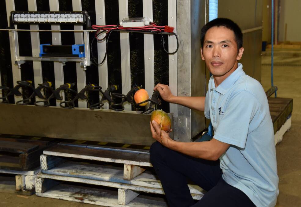 TECH: CQUniversity's Dr Zhenglin Wang is using his expertise in electrical engineering to collect data about mango maturity and crop load on farm, using LiDAR (Light Detection and Ranging), machine vision and time-of-flight cameras.