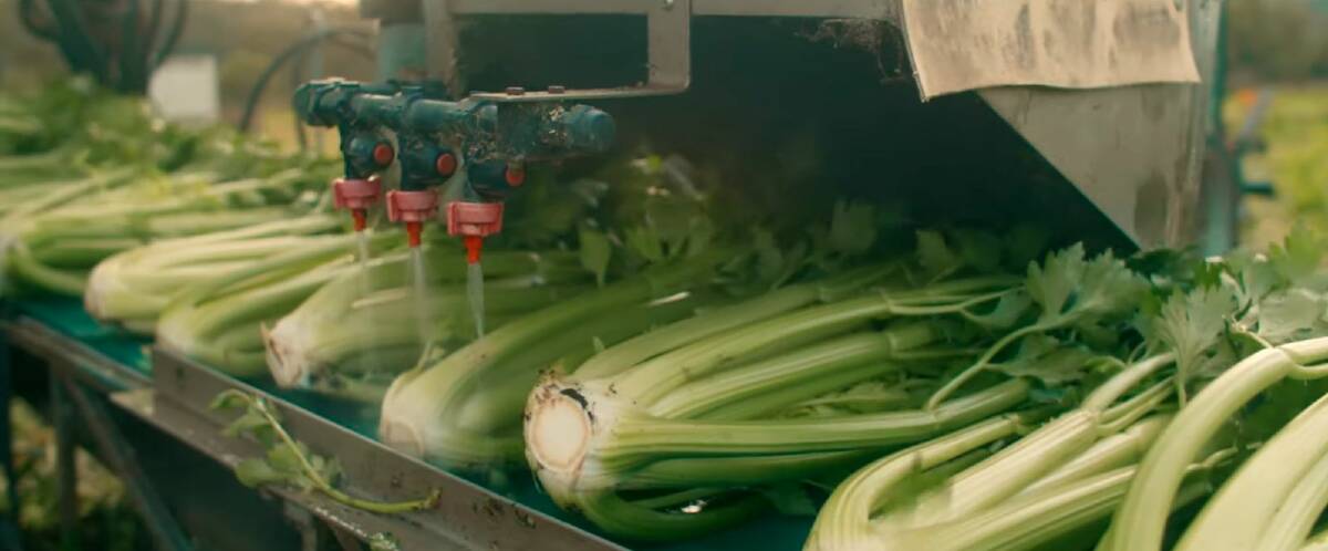MOVING: The professionally-produce video includes shots of an organic farm in action. 