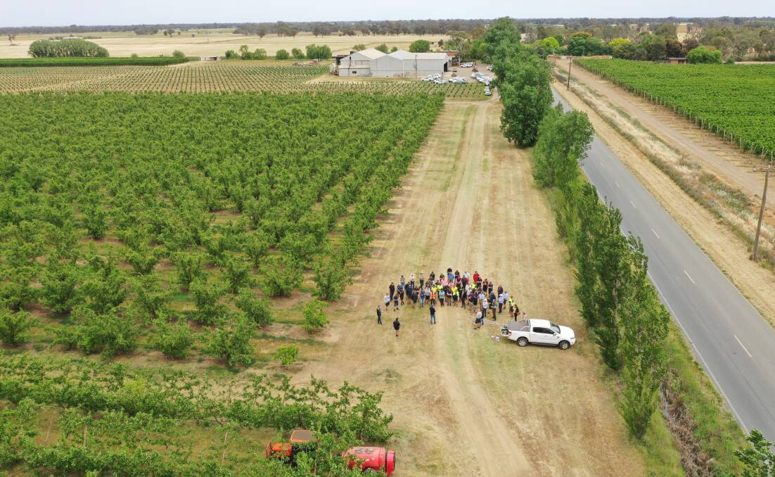 GUESTS: The Shepparton field day, organised by Citrus Australia, drew plenty of interest. 