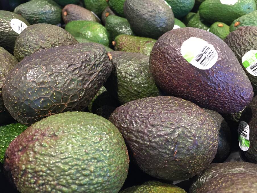 The Australian avocado industry is hoping to increase exports to Japan. File picture