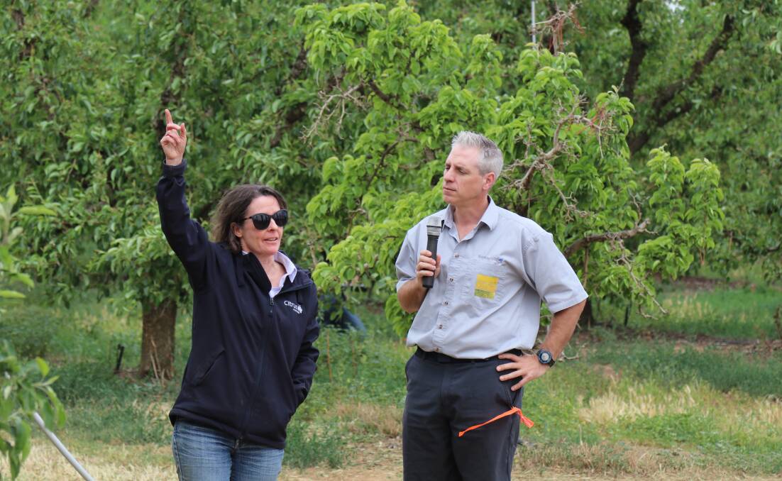 ON SITE: Alison MacGregor and Jason Deveau discuss orchard considerations when it comes to spraying. 