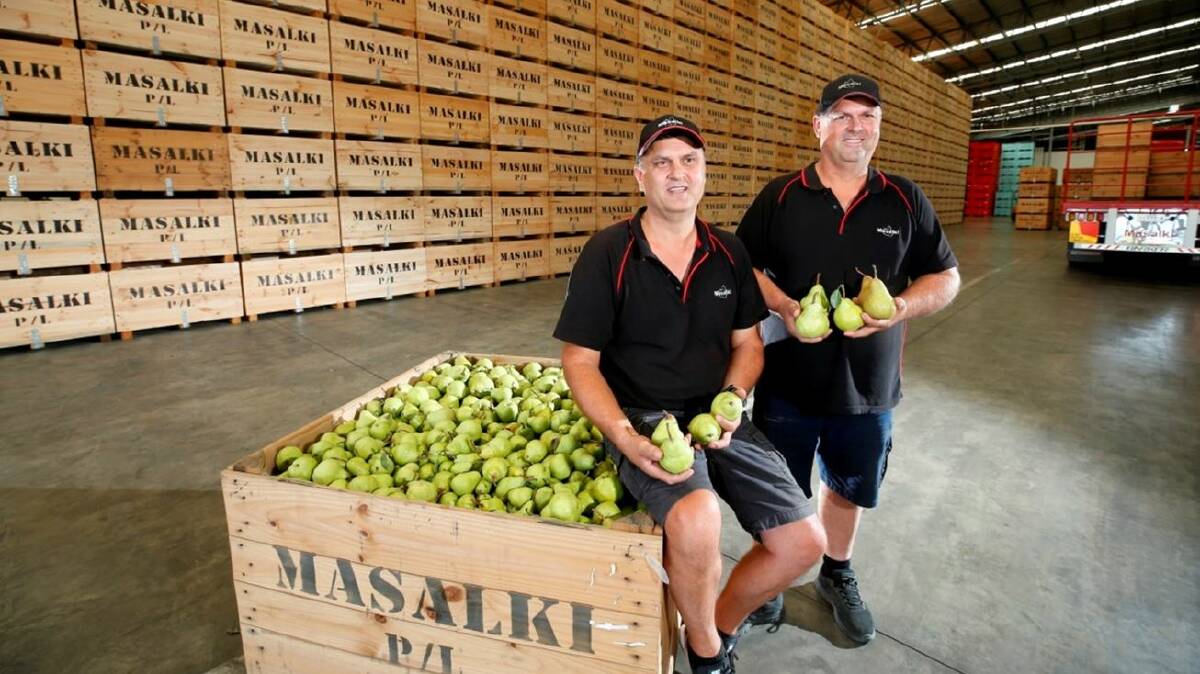 BETTER: Philip and Con Damianopoulos, Masalki Pty Ltd, Shepparton, Victoria will invest in new cool room technology to reduce water use and improve pear quality, thanks to a Coles Nurture Fund grant.