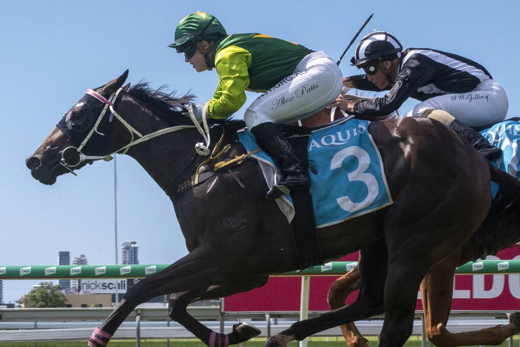 Spirit of Boom filly Spirit One ridden by Alex Patis winning at the Gold Coast on April 23. The filly, trained by Tony and Maddysen Sears, Toowoomba, was the leading QTIS 2YO in April. Picture: Magic Millions
