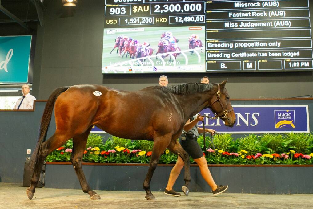 Top price at last years Magic Millions National Broodmare sale was $2.3 million for Group 3 winner Missrock (Fastnet Rock/Miss Judgement). The 5YO mare was one of 11 lots to sell for $1 million or more during the sale. Picture: Magic Millions 