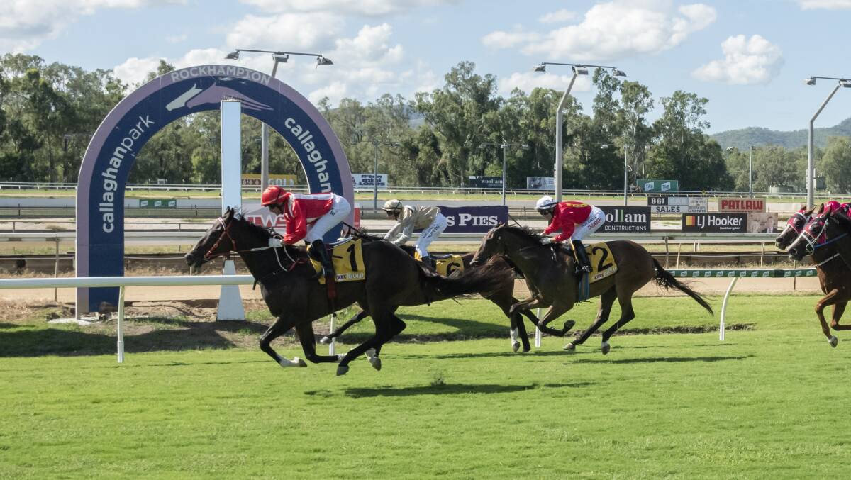 Rockhampton 4YO gelding Marway ridden by Brad Pengelly wins his second Capricornia 3 and 4YO Championship. Picture: Caught in the Act Photography CQ