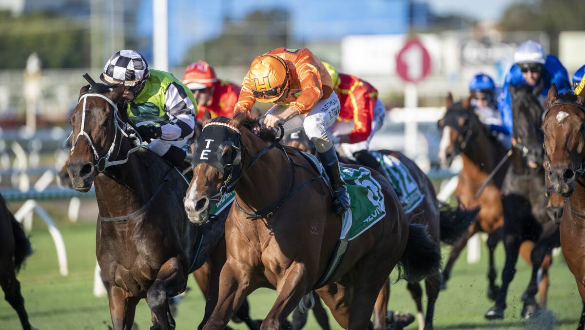 Former far north Queensland sprinter Tyzone (orange colours) ridden by Robbie Fradd sprints to victory in the Group 1 Stradbroke Handicap at Eagle Farm ahead of runner-up Madam Rouge (green colours) ridden by Jason Taylor. Picture: Racing Queensland
