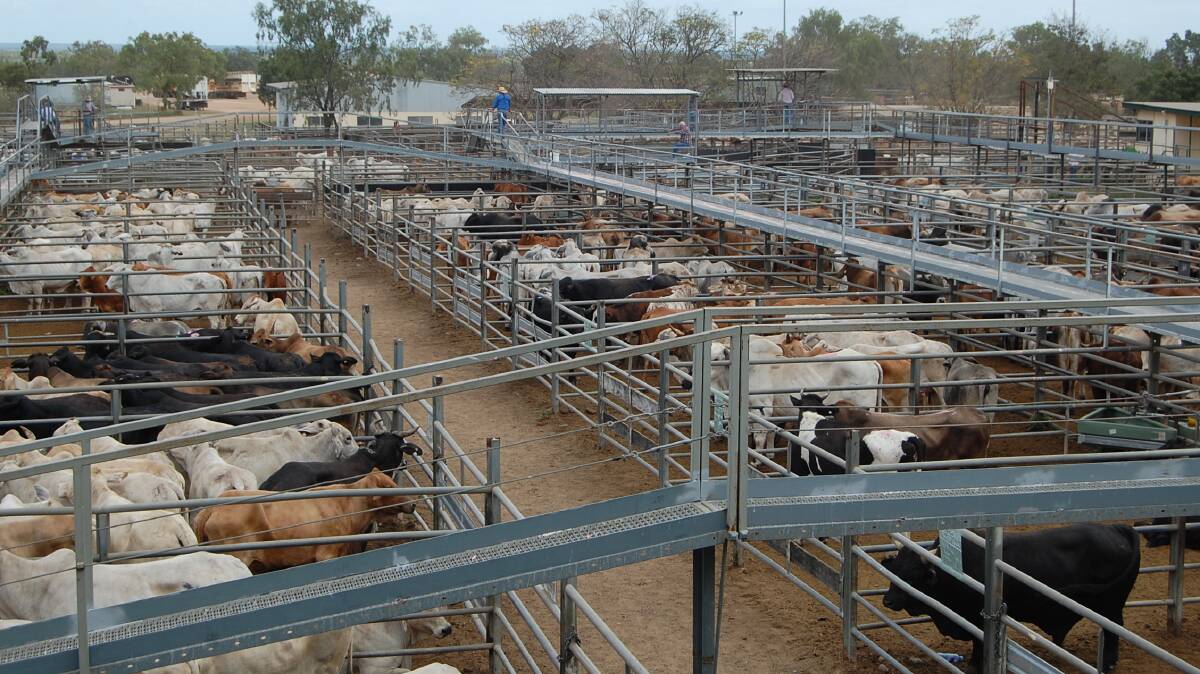 Restockers active at Charters Towers