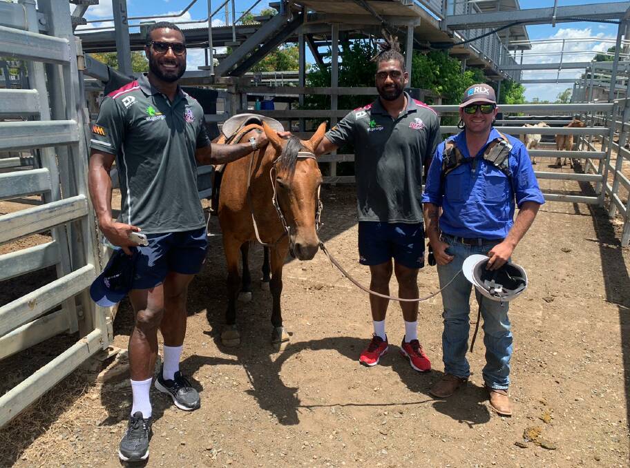 Queensland Reds players Suliasi Vunivalu and Seru Uru meet stockman Matthew Carr during their tour of the CQLX selling centre. The players stopped by the selling facility during the Reds to Regions tour.