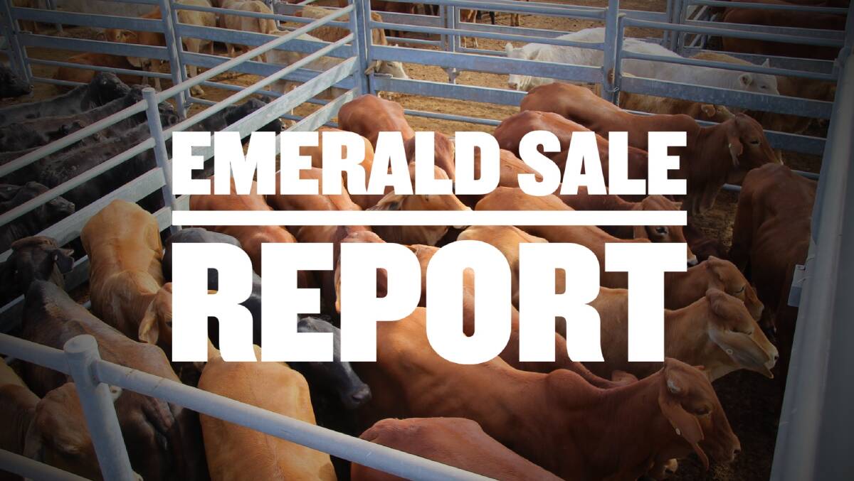Charolais cross weaner steers make 760c/$2356 at Emerald
